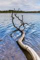 2019_09_29_Lac des Settons (0022)